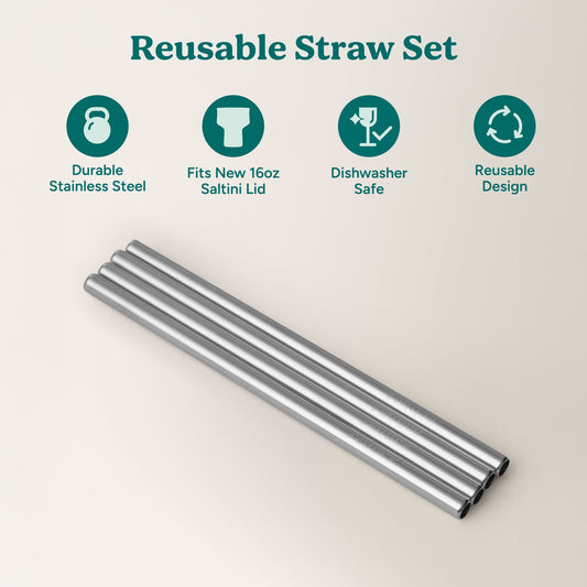 saltini-straw-set-f6 4PK_SaltiniStraws_SS-2.jpg